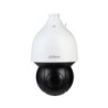 Domo motorizado StarLight IP Dahua de la serie AI de 300°/se
