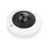 Domo IP hemisférico MOBOTIX MOVE de 12MP con analítica IA