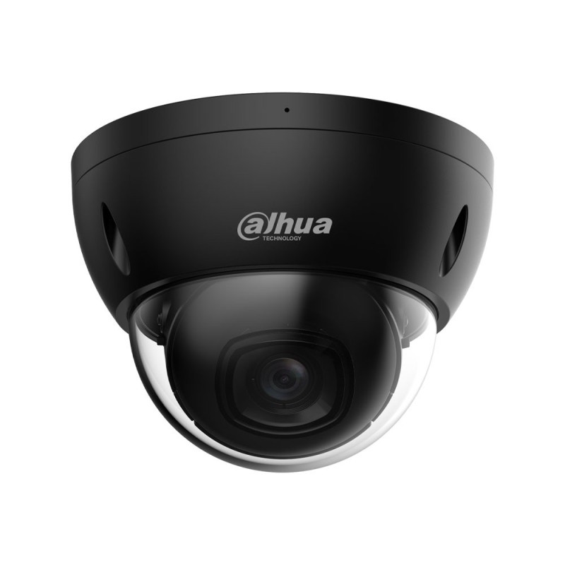 Domo IP WizSense 4MP de exterior