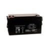 Batería AGM de 12V /65 Ah